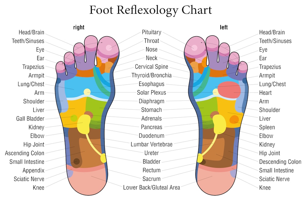 foot reflexology chart