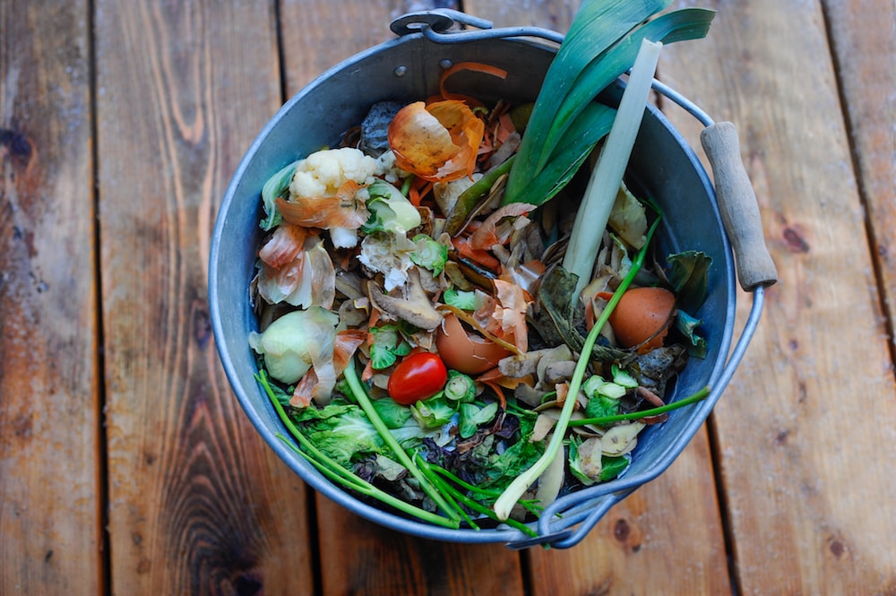 composting pile in a bucket