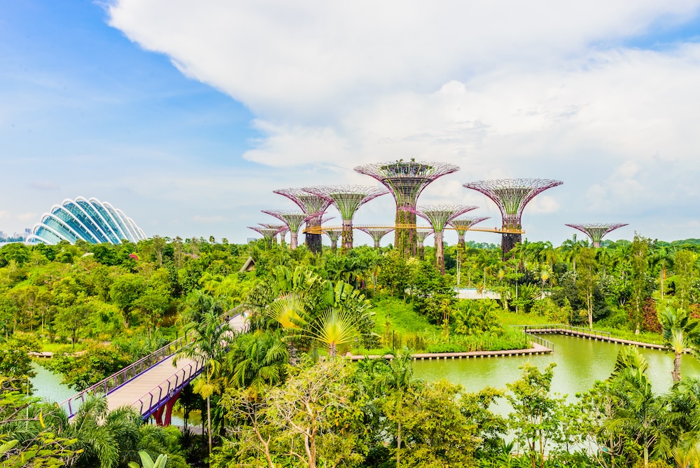 This is photo of Supertree Grove at Gardens by the Bay in Singapore