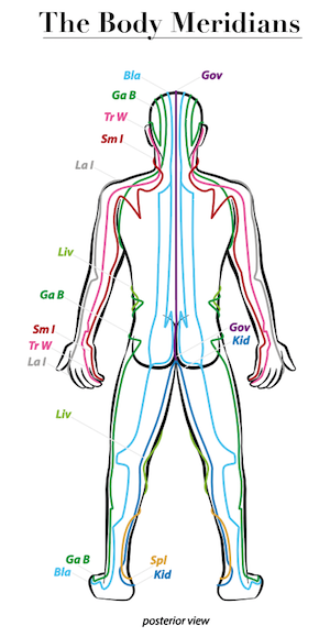 This is an image of the body meridians from the back