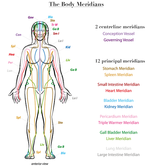 This is an image of the body's meridians