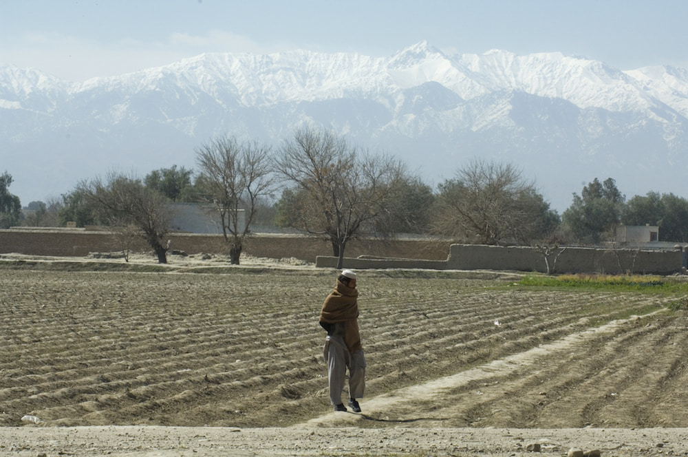 Plant for Peace farmer in Afghanistan