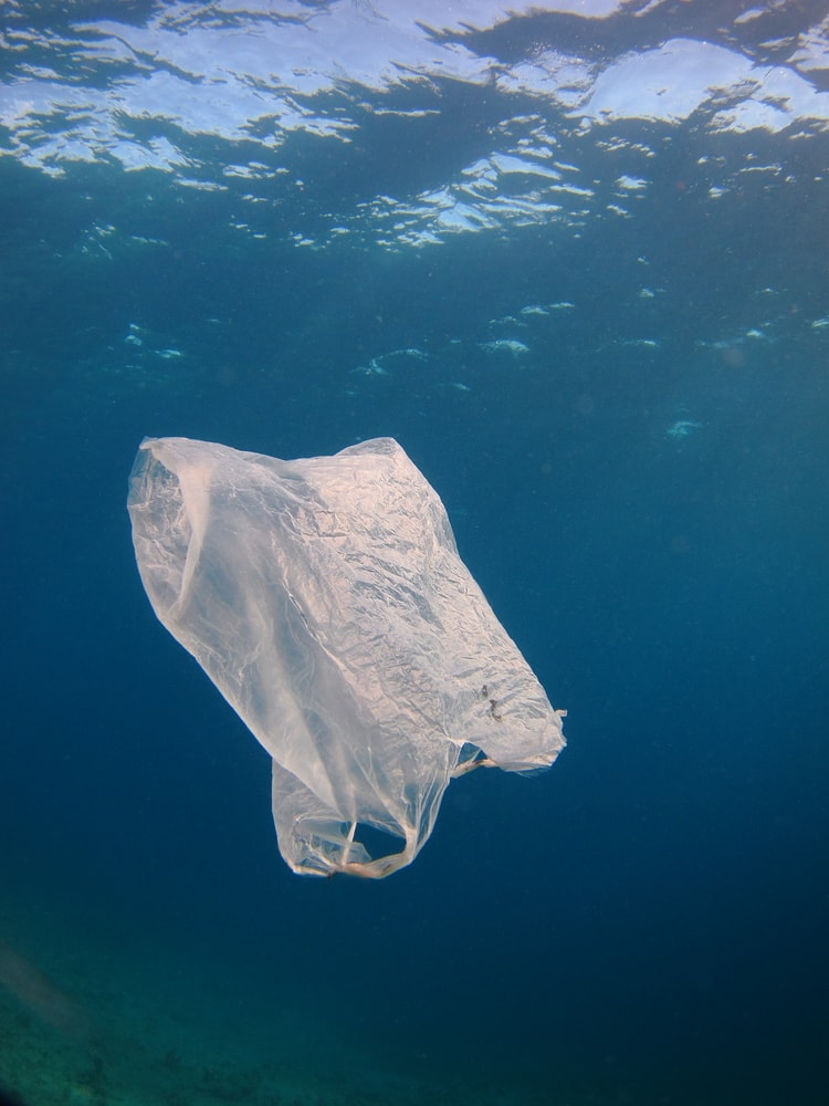 plastic bag in the sea