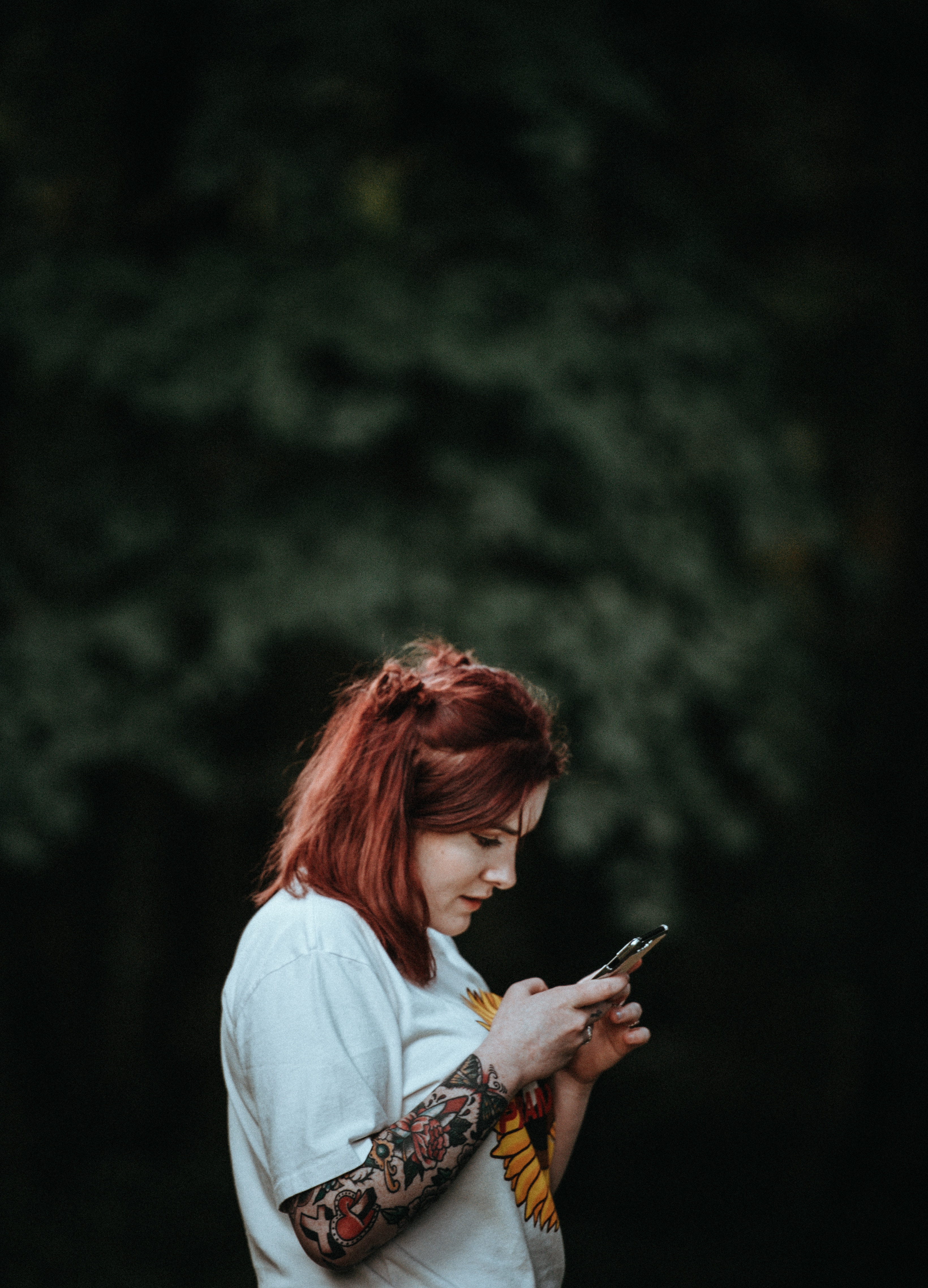 annie-spratt-385364-unsplash