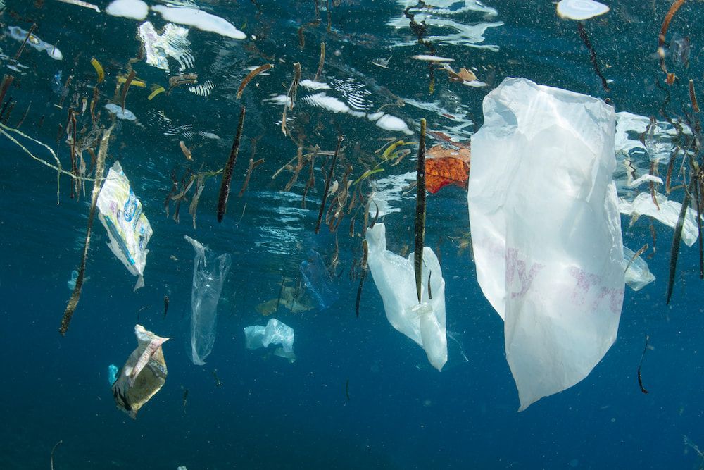 plastic bag in ocean