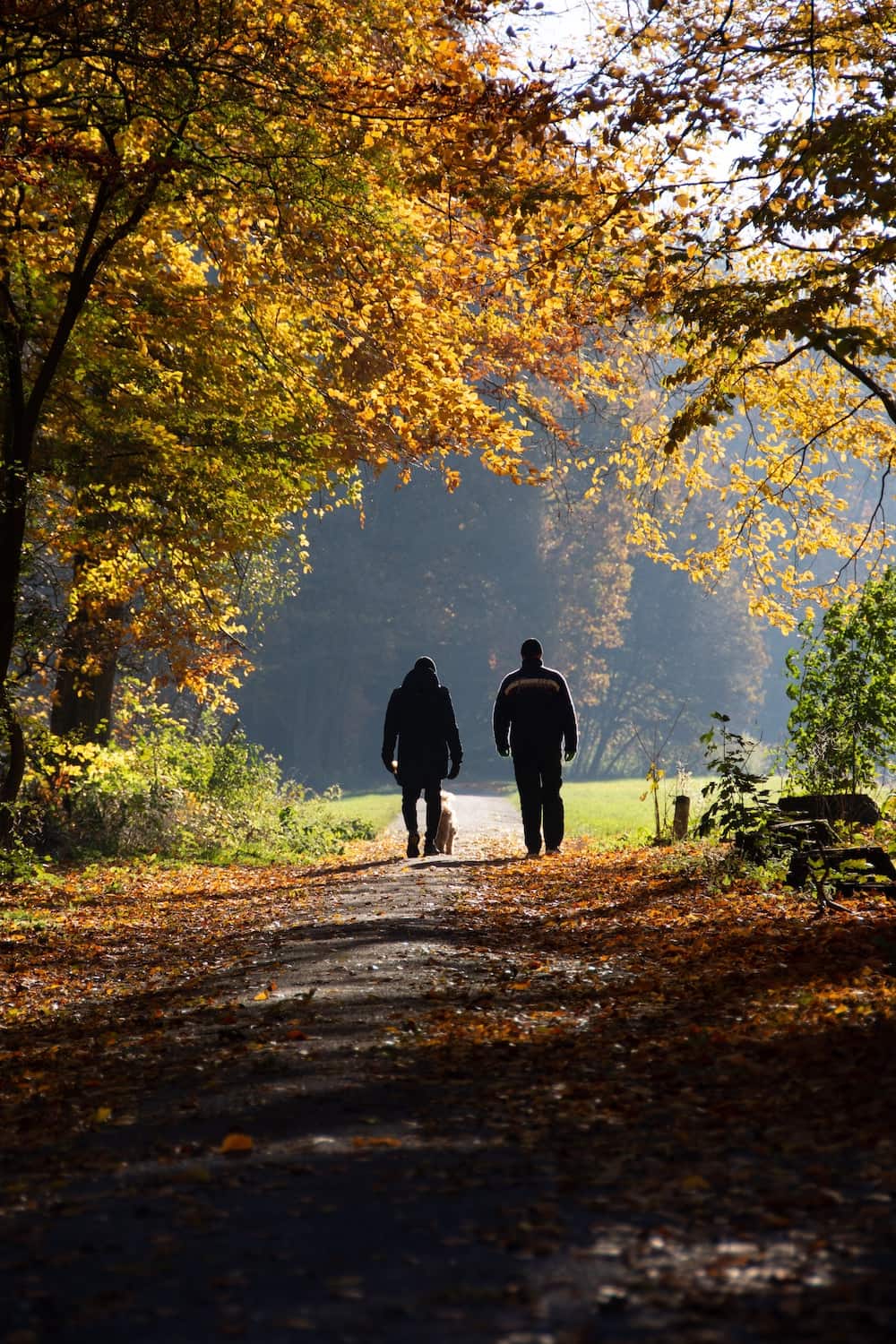 Two people walking dog along path
