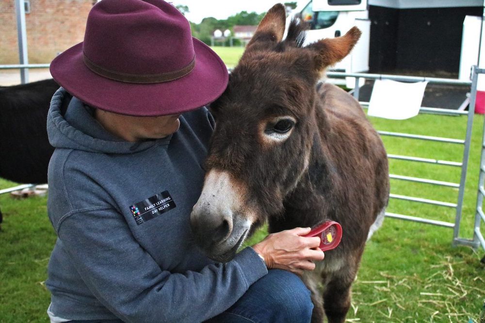 Sarah enjoying a cuddle with one of her donkeys
