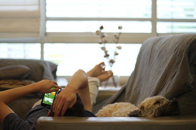 A man scrolls on instagram, laying on the sofa with his dog