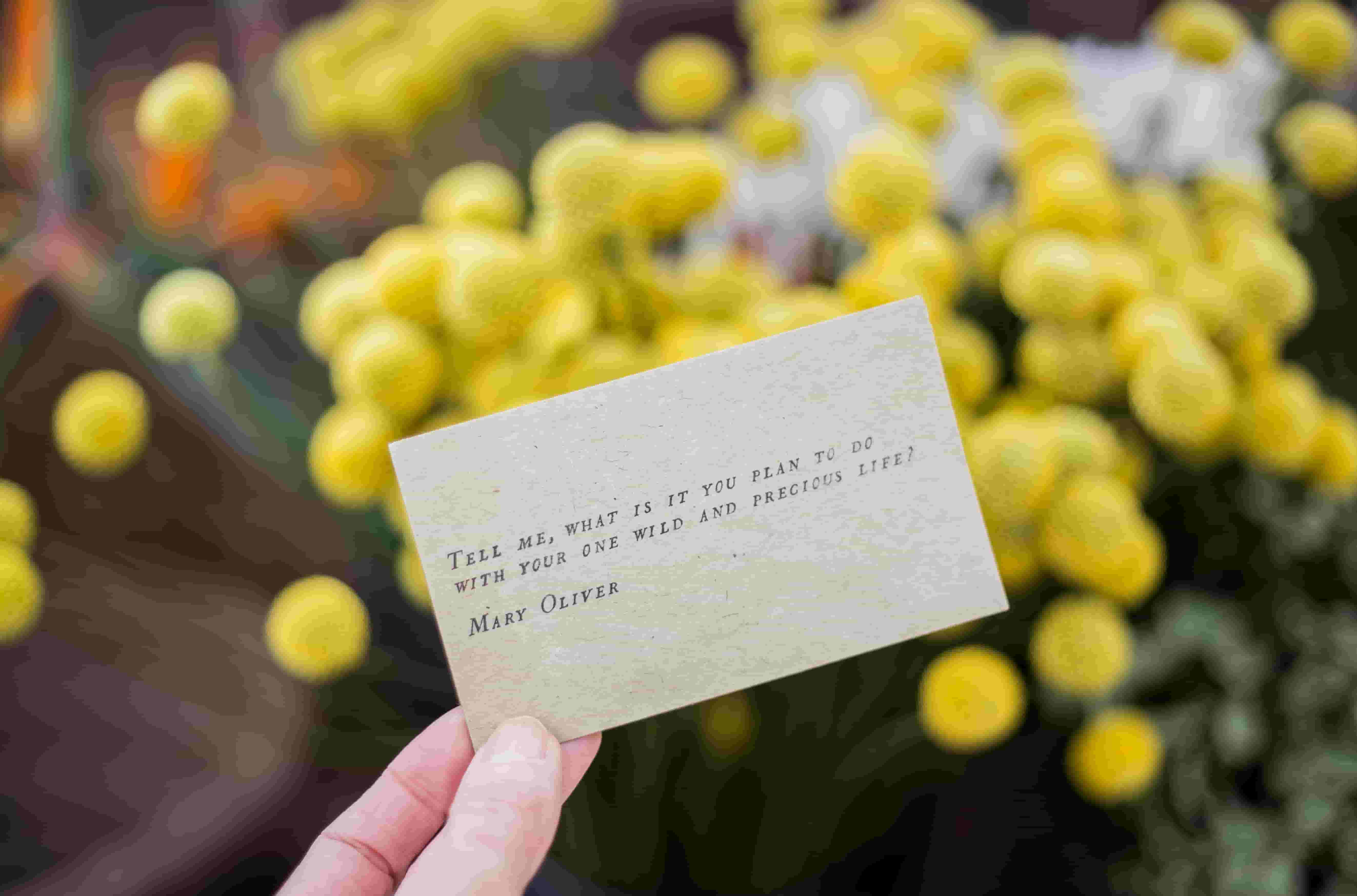 Close-up of an affirmation card, with the words: “Tell me, what is it you plan to do with your one wild and precious life?” by Mary Oliver