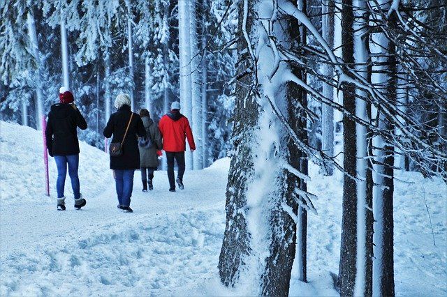 A family walks together through snowy trees