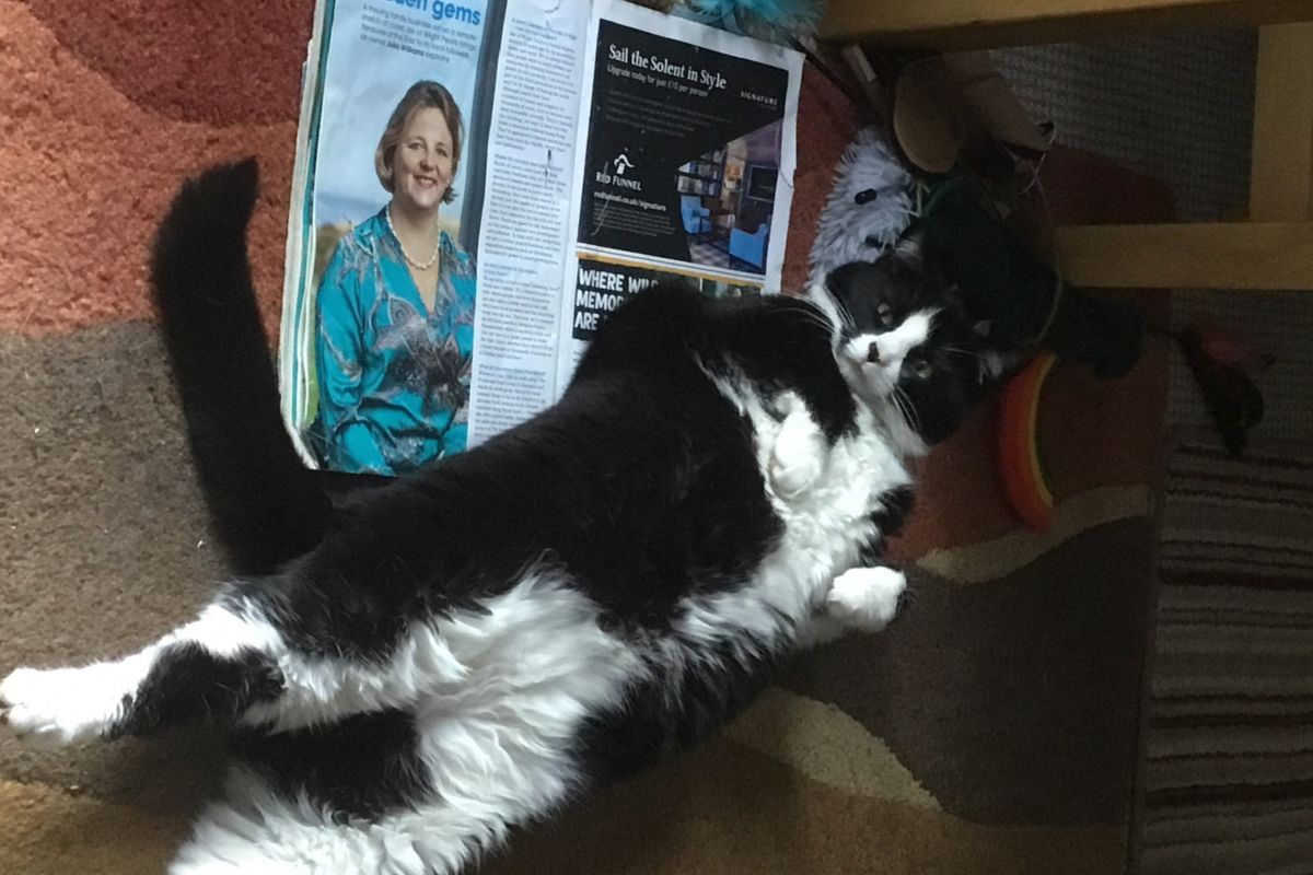 A black and white cat lying on an issue of Happiful magazine
