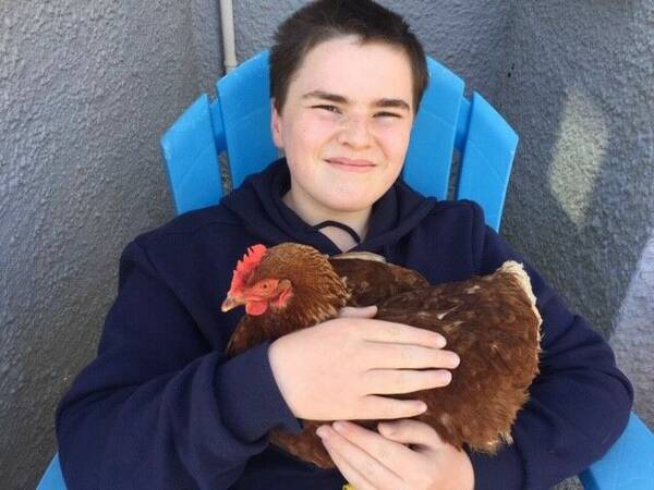 George-and-his-hen