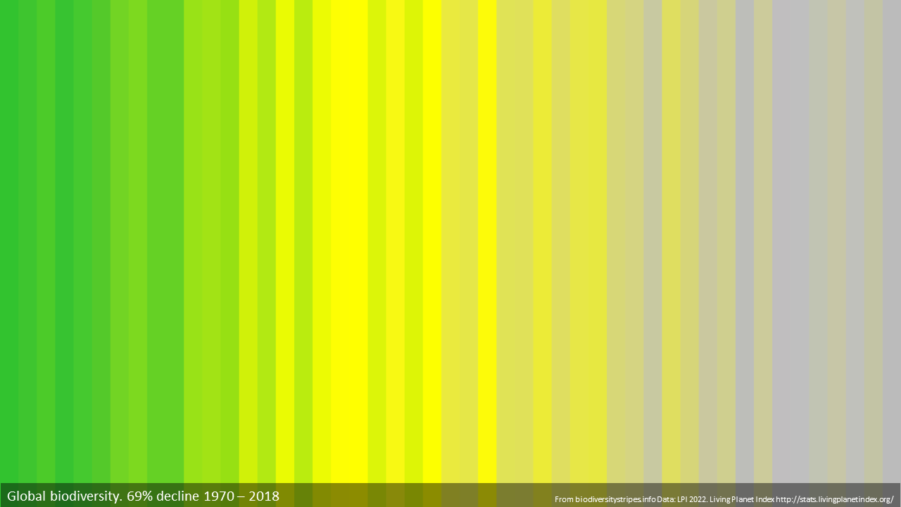Various sized stripes going from green to yellow to grey