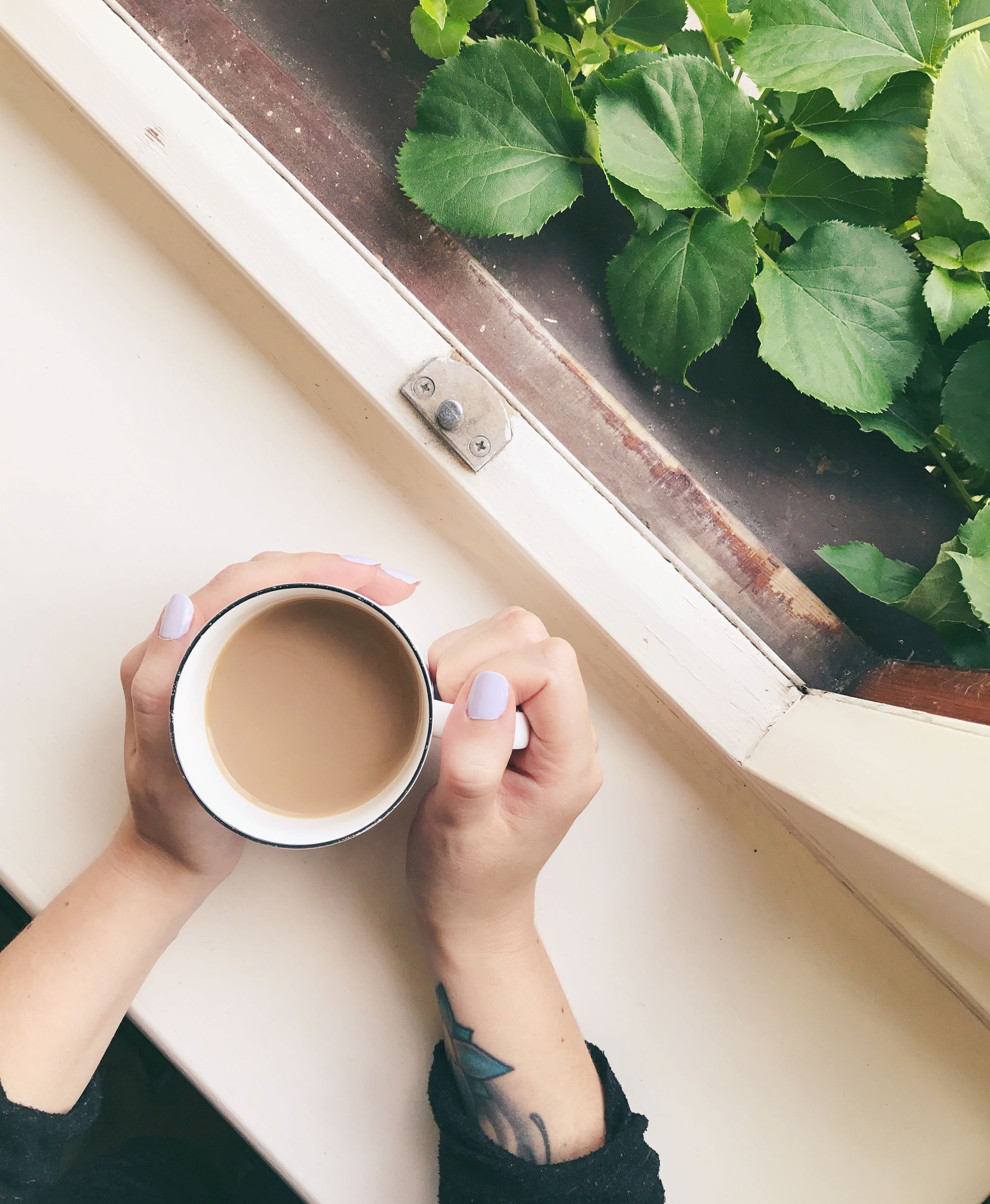 Hands holding a cup of coffee on a windowsil with green leaves coming through the window