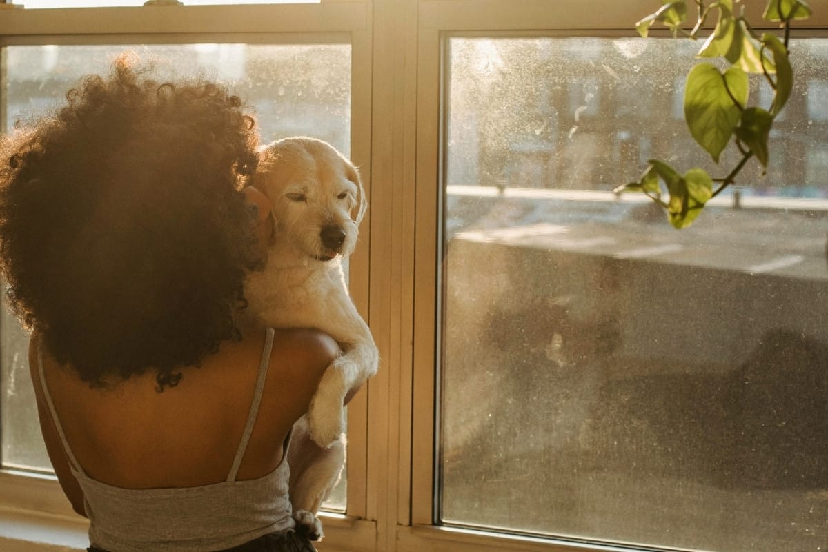 Ghost header images (12) copy 6.jpg