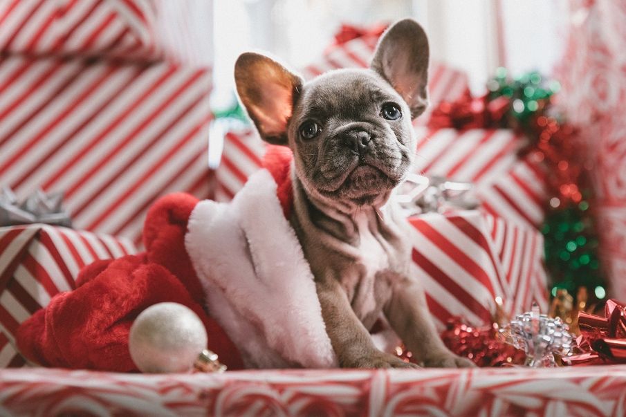 YouGov Reveal Britain’s Festive Favourites