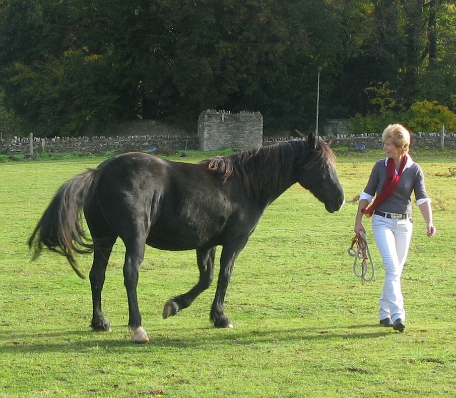 Galloping Towards Recovery: Joanna's story