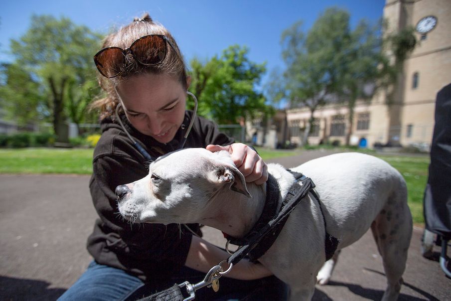 Street Vet: Making sure no animal is forgotten