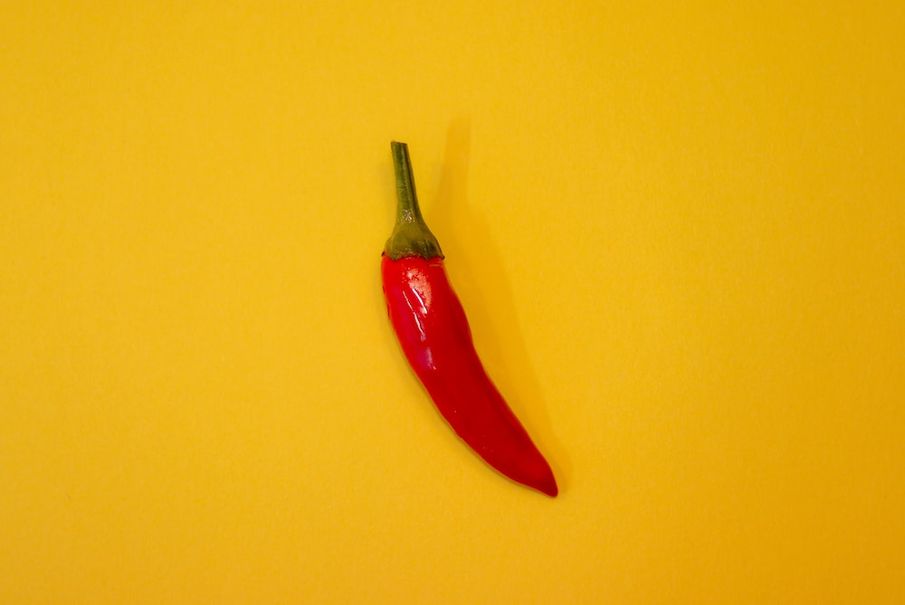 Let's spice things up: The ultimate guide to growing your own chillies