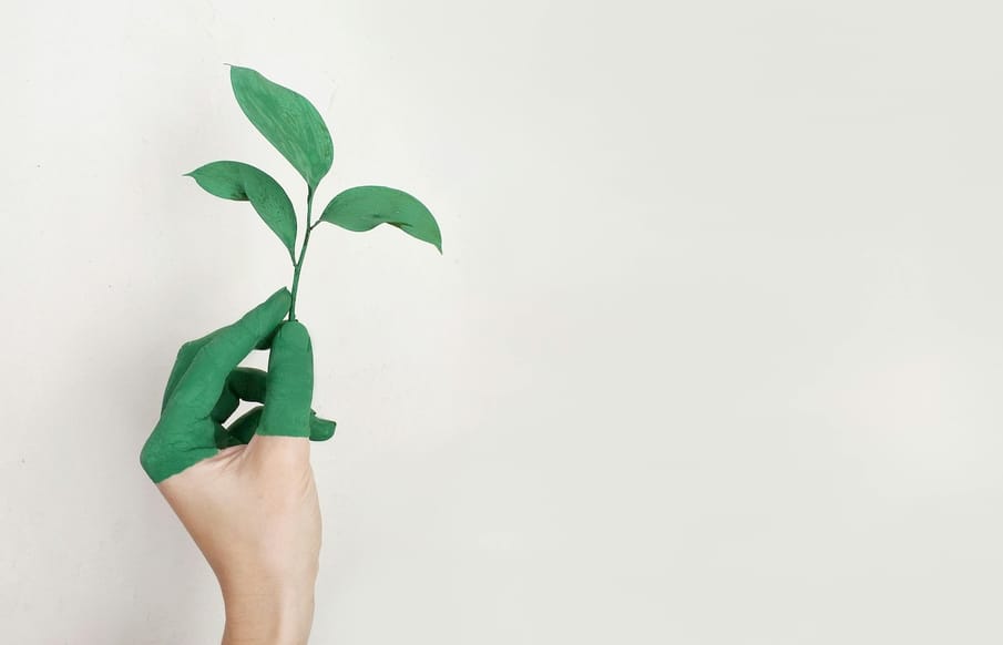 6 tips for spotting corporate greenwashing