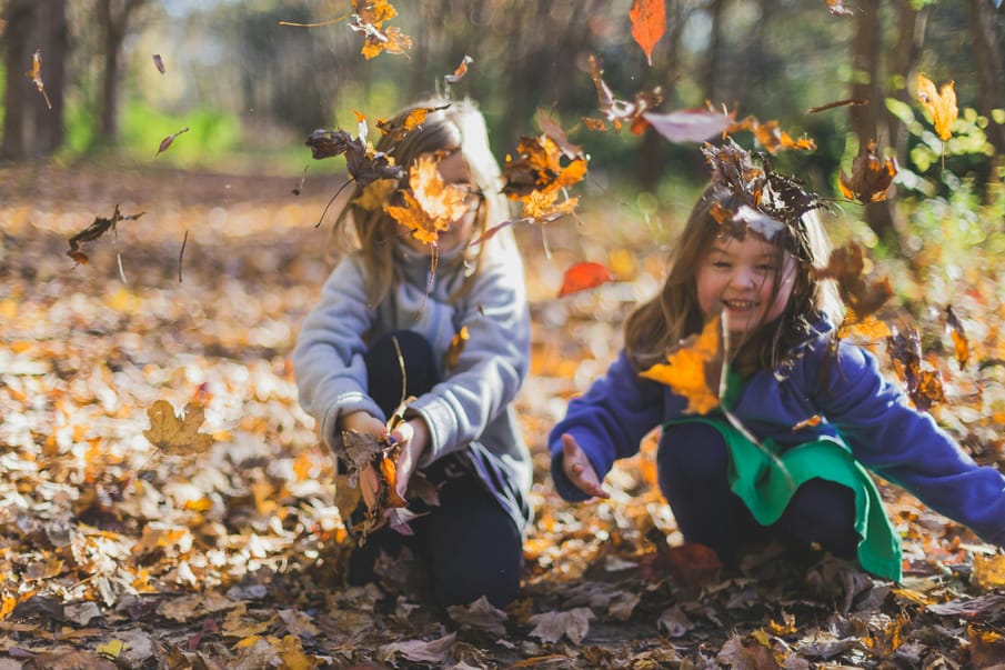 Researchers explore the benefits of forest schools on children’s mental health